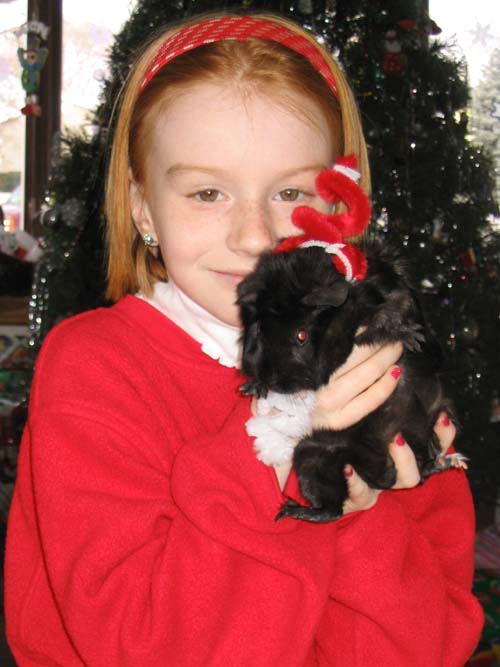 2003_12_22 061 Allison and Oreo (Guninea Pig) Dressed for Christmas