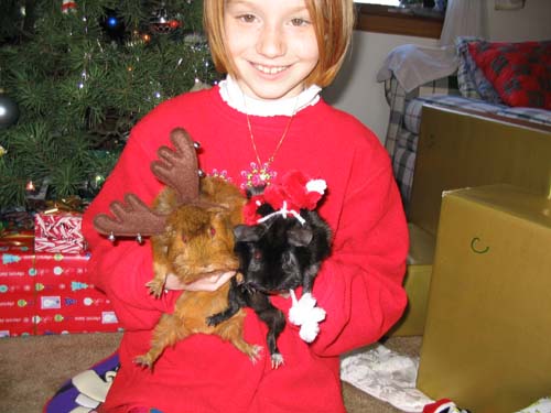 2003_12_22 065 Allison, Hershey (antlers), and Oreo (Santa hat and beard)