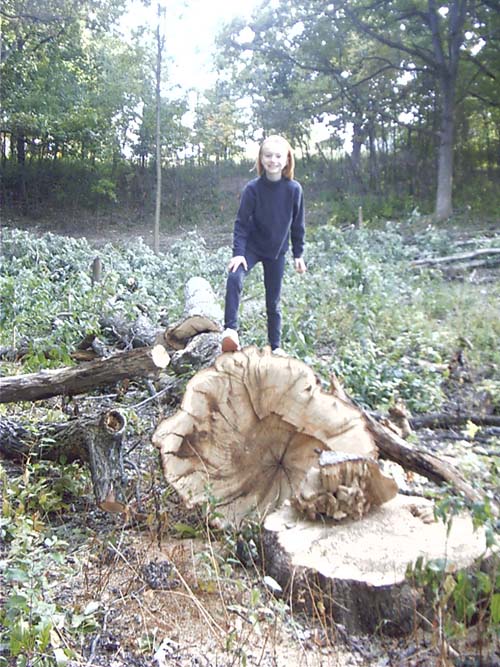 2. Allison on the Big Oak