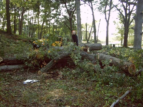 3. Allison on one of many Oak Piles