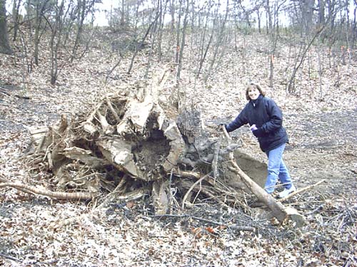 2003_11_15 Wendi and 1 of 2 Stump Piles