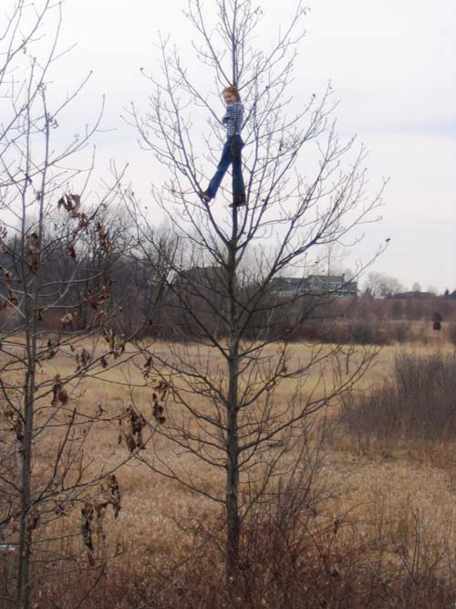 2004_02_27 082 Allison in a Tree across the Street