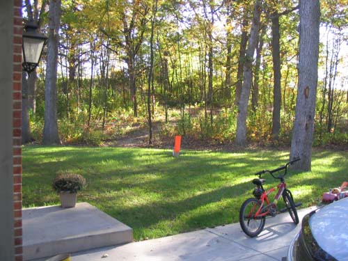 2004_10_10 020 Sideyard Grass is also Coming in Nicely