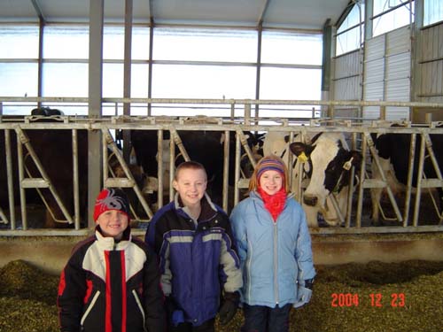 Mason, Corte, Allison and Cow