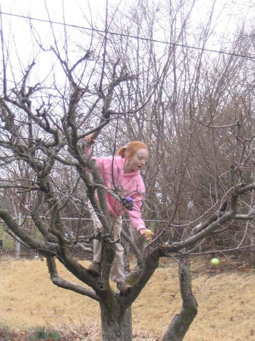 2005_04_01 032 Allison gets the Egg in the Tree