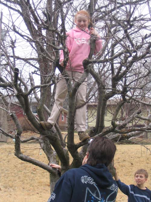 2005_04_01 042 Mark and the Classic Allison in the Tree